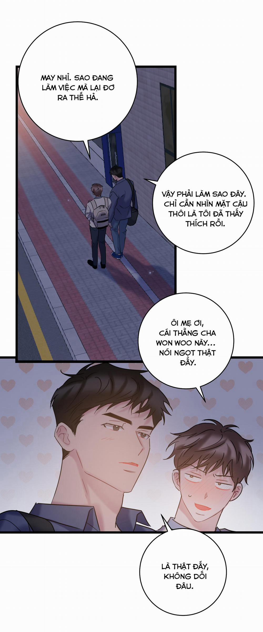 Tình Yêu Bình Dị Nhất 15 trang 11