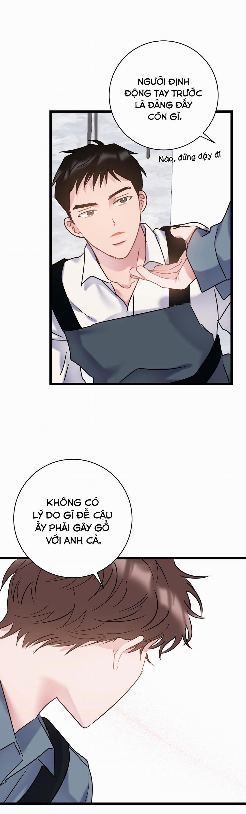 Tình Yêu Bình Dị Nhất 21 trang 12