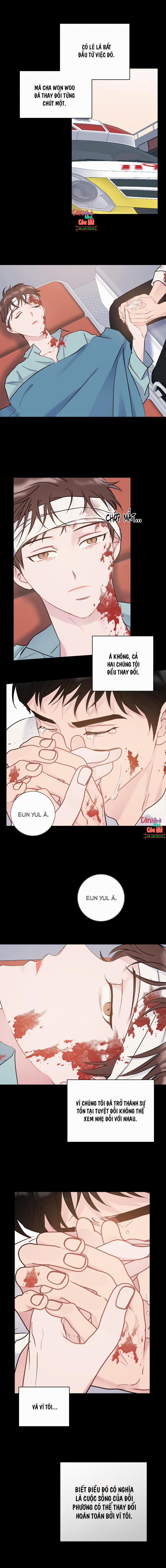 Tình Yêu Bình Dị Nhất 25 trang 3