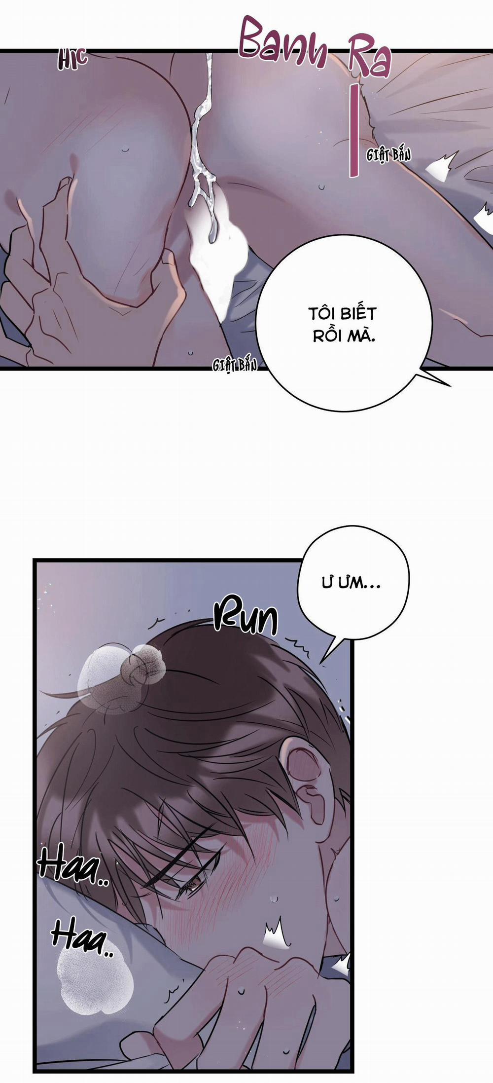 Tình Yêu Bình Dị Nhất 3 trang 13