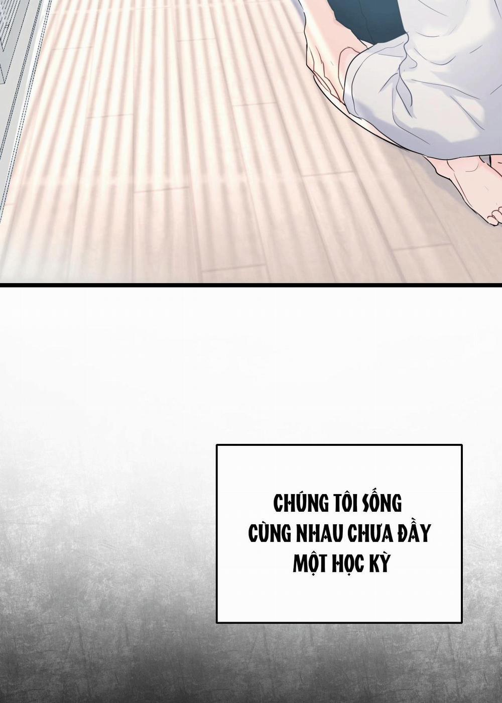 Tình Yêu Bình Dị Nhất 3 trang 56