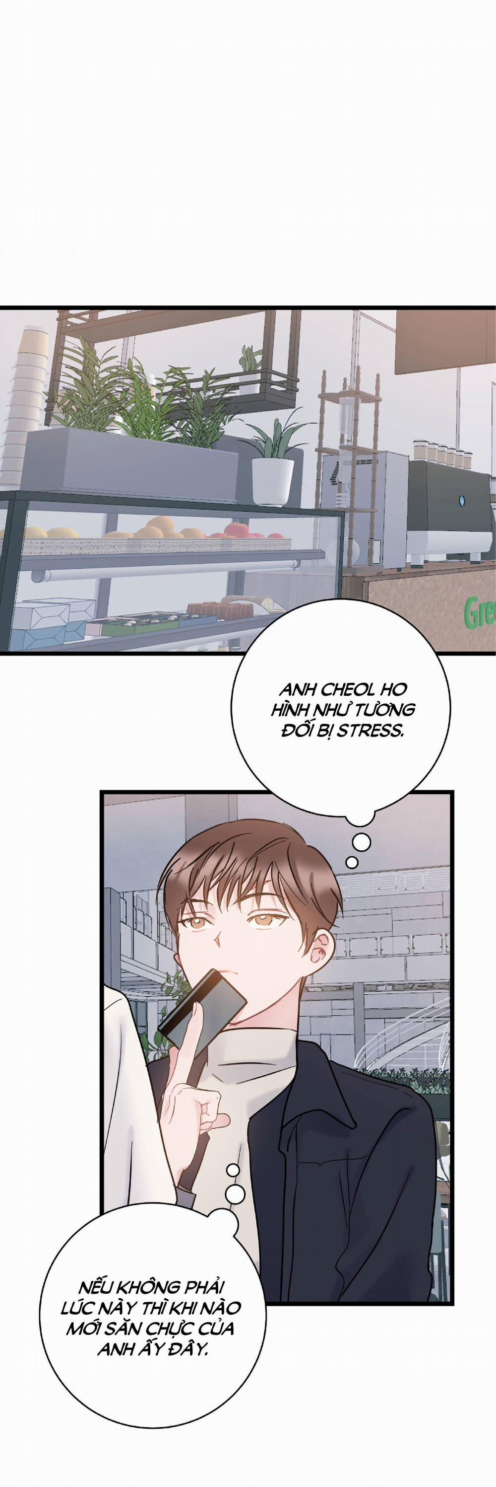 Tình Yêu Bình Dị Nhất 30 trang 12