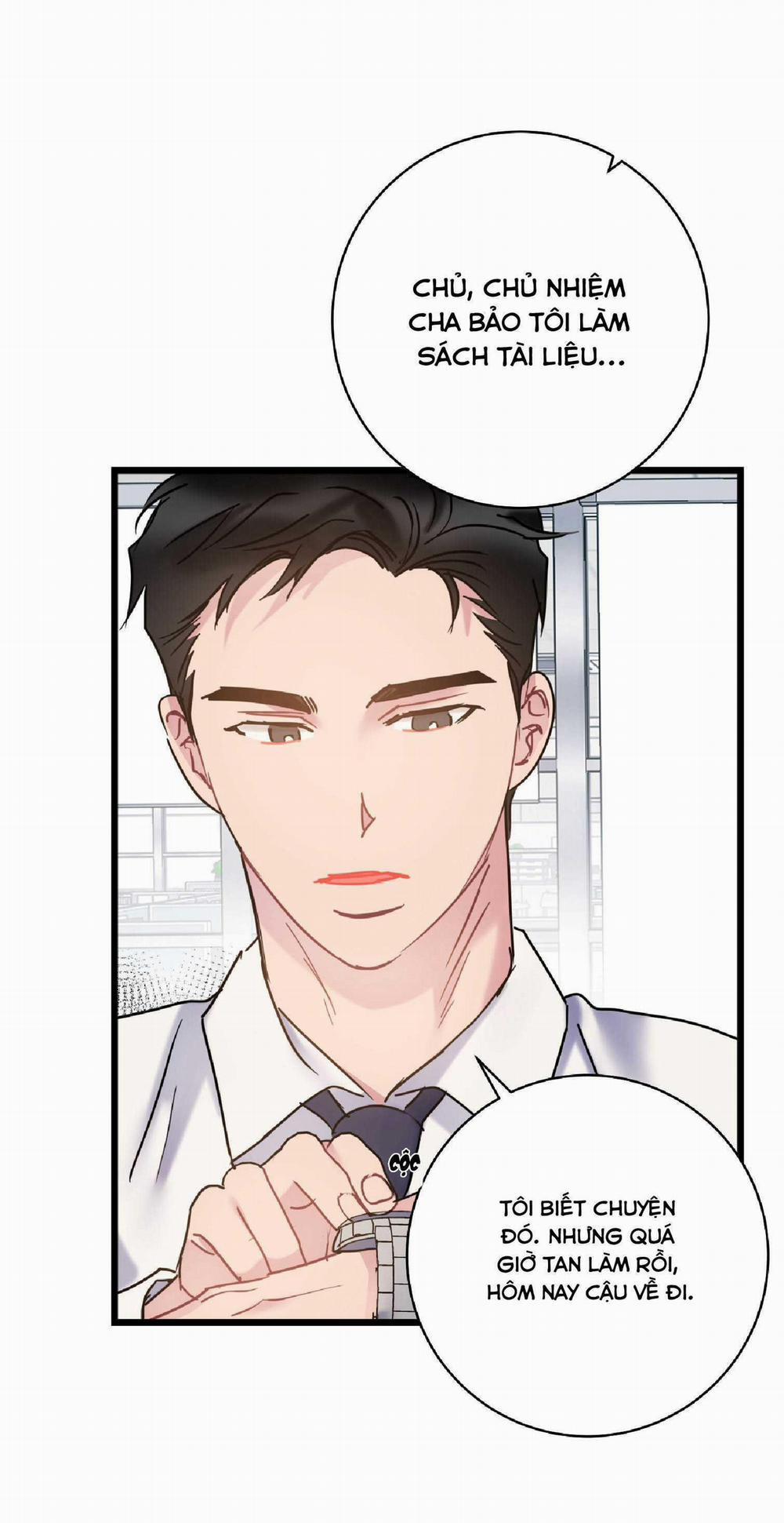 Tình Yêu Bình Dị Nhất 31 trang 55