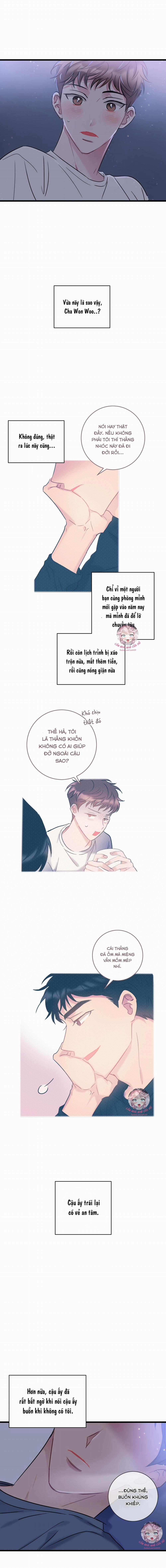 Tình Yêu Bình Dị Nhất 5 trang 11