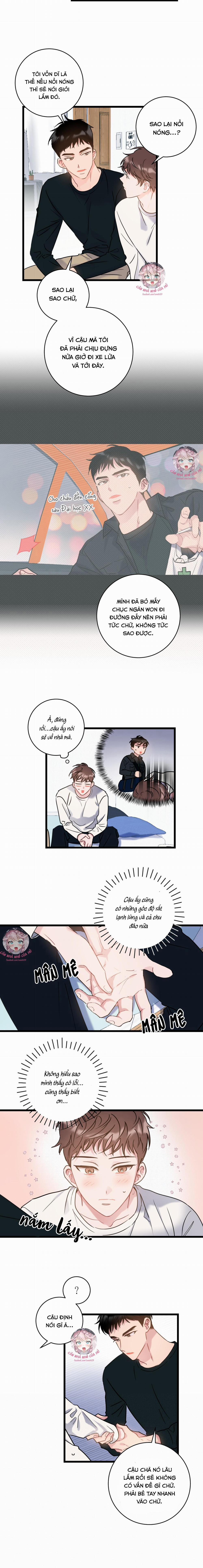 Tình Yêu Bình Dị Nhất 5 trang 5