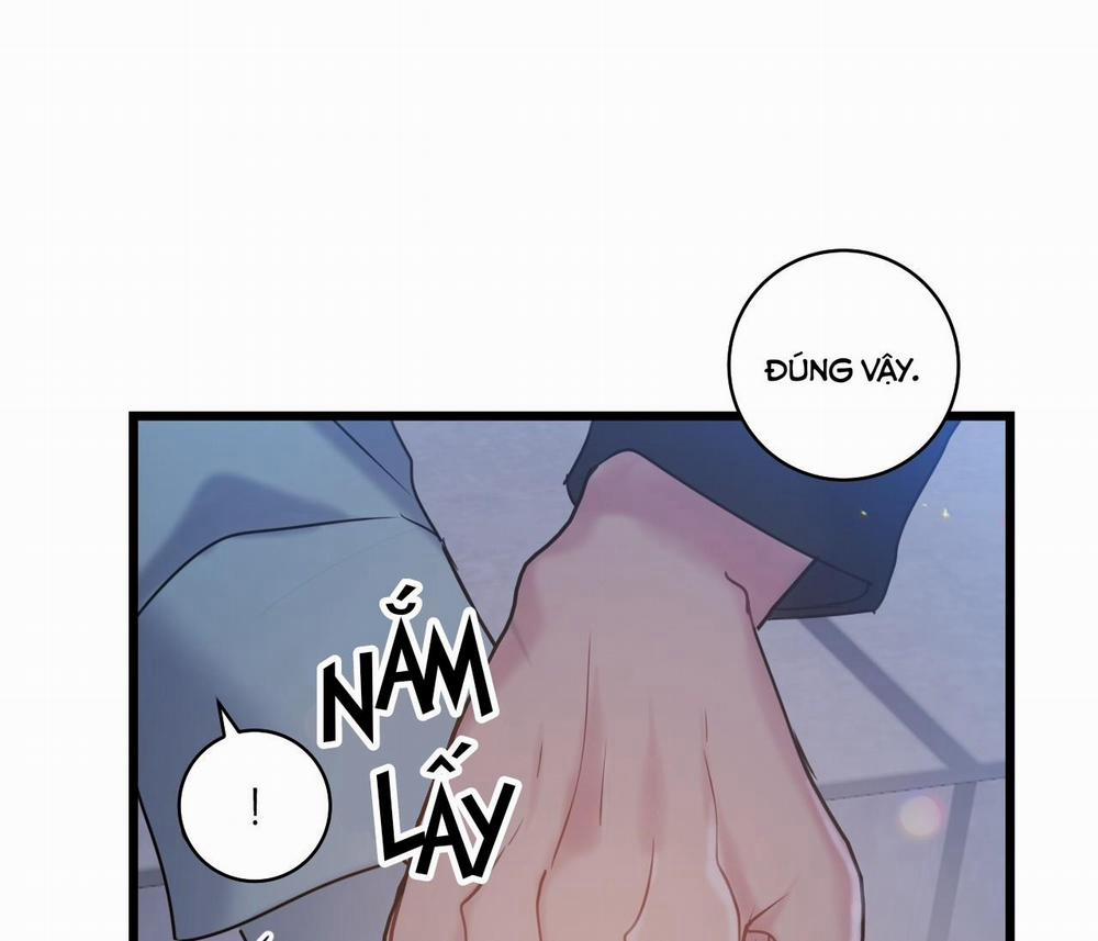 Tình Yêu Bình Dị Nhất 8 trang 24