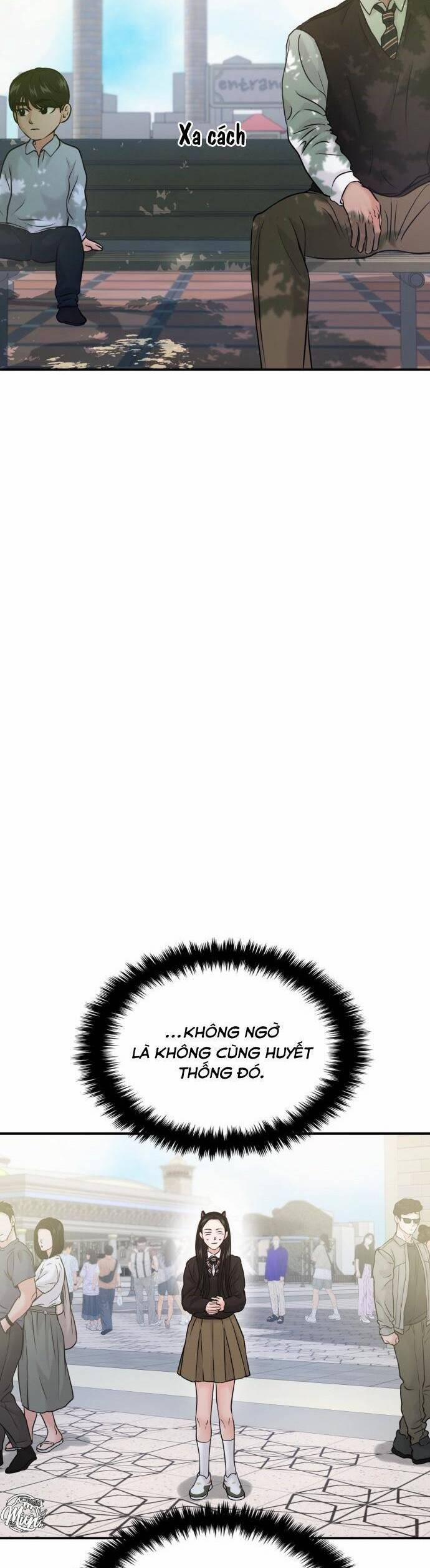 Tình Yêu Cấp 4 52 trang 14