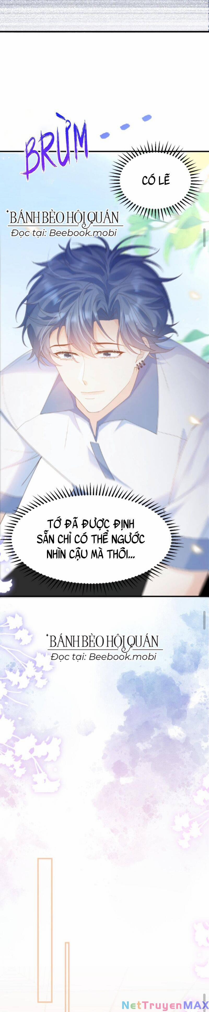 Tình Yêu Cháy Bỏng 14 trang 8