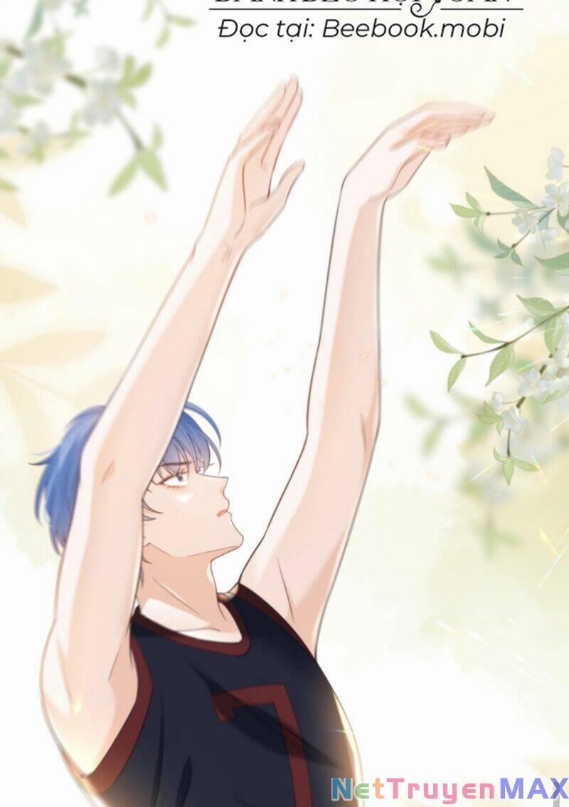 Tình Yêu Cháy Bỏng 16 trang 5