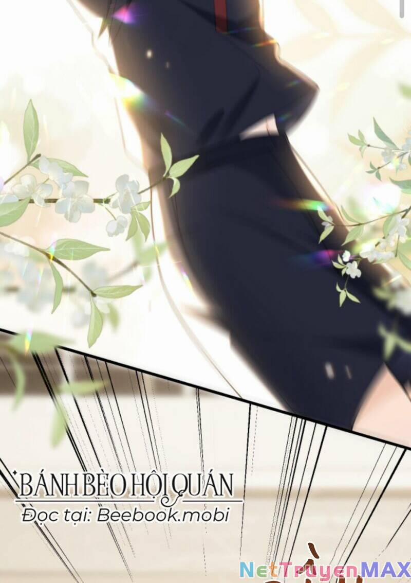 Tình Yêu Cháy Bỏng 16 trang 6