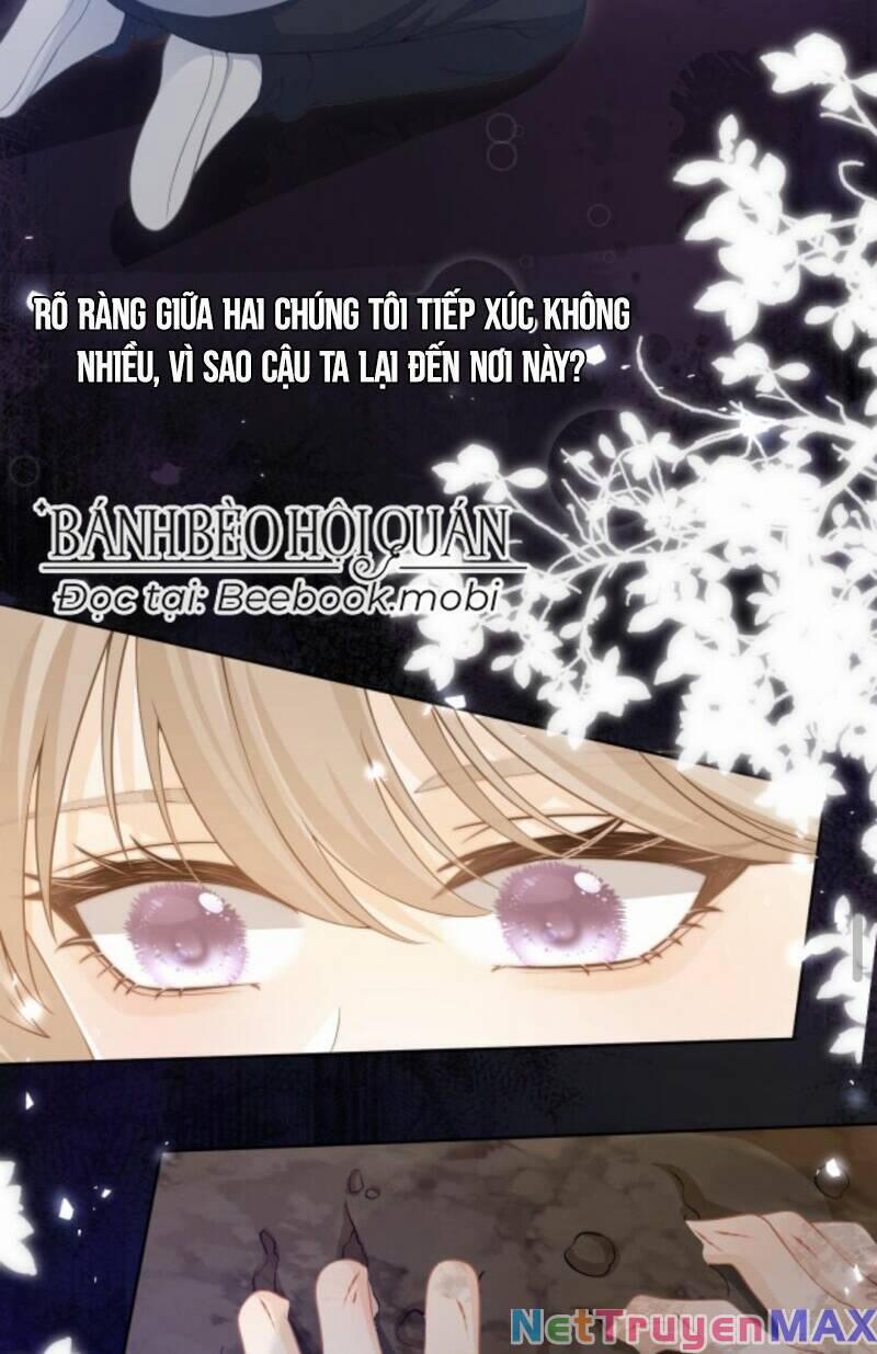 Tình Yêu Cháy Bỏng 2 trang 12