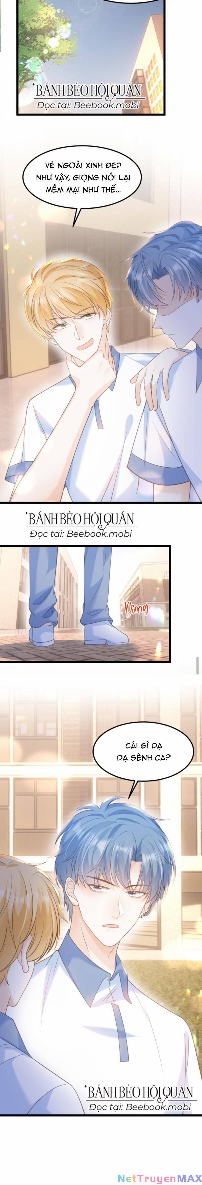 Tình Yêu Cháy Bỏng 5 trang 8