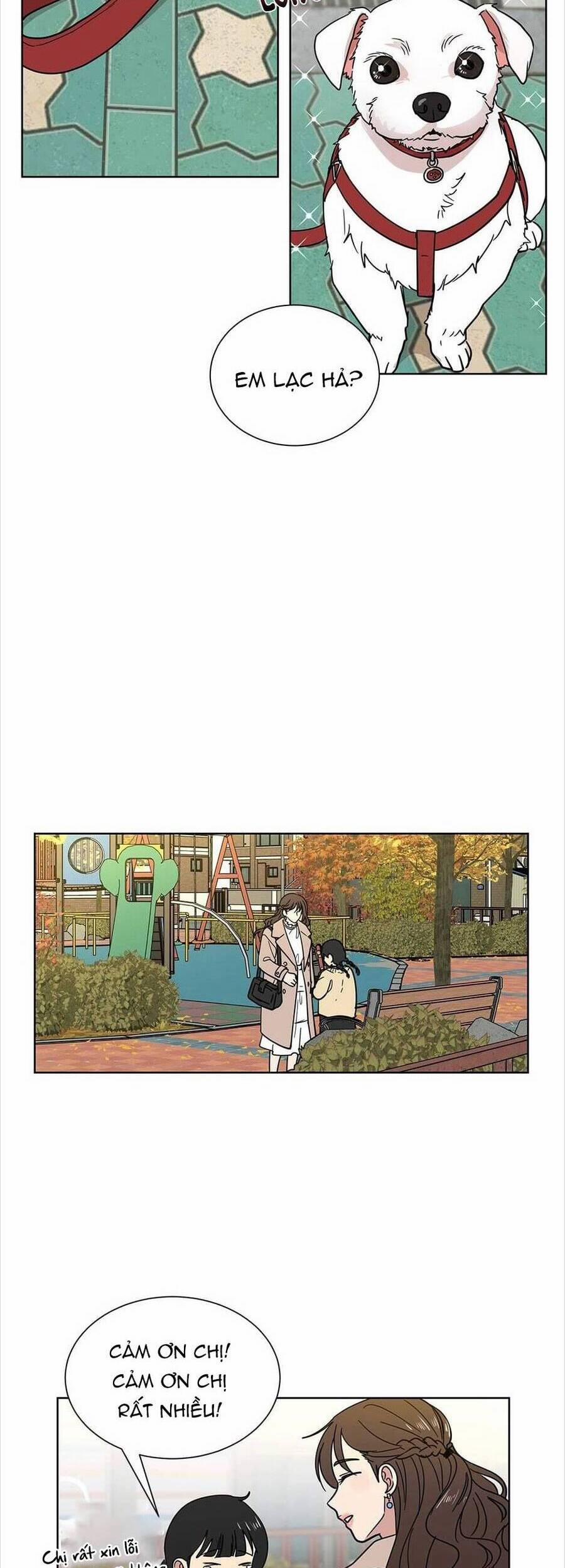 Tình Yêu Chỉ Mình Em Biết 43 trang 18