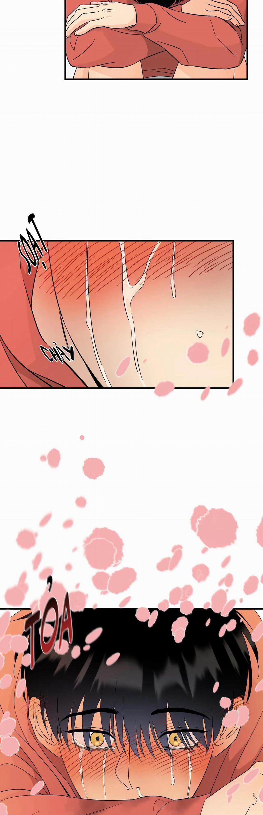 Tình Yêu Cổ Tích 4 trang 15