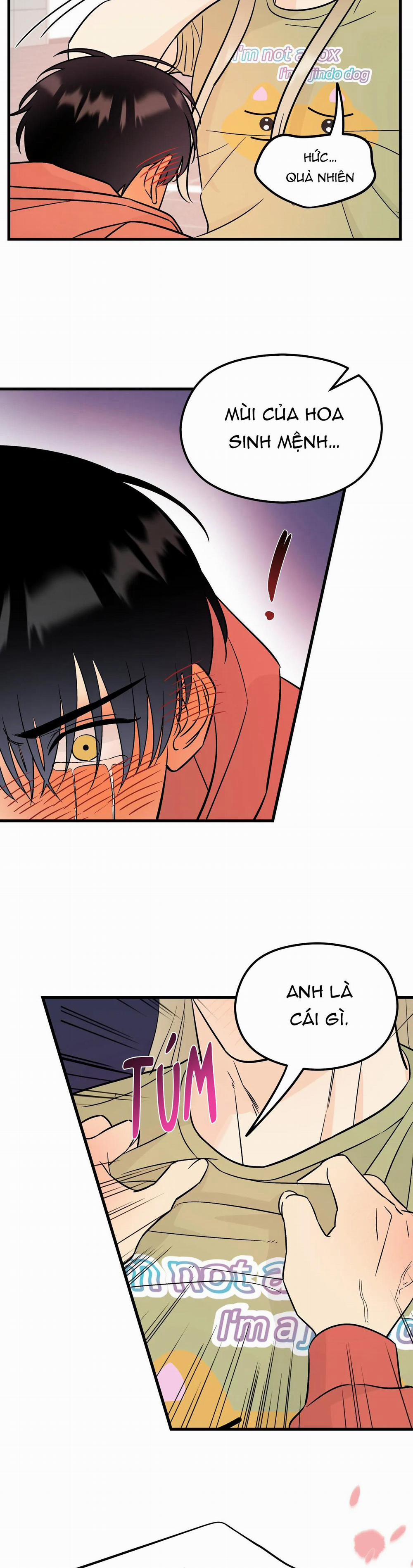 Tình Yêu Cổ Tích 4 trang 17