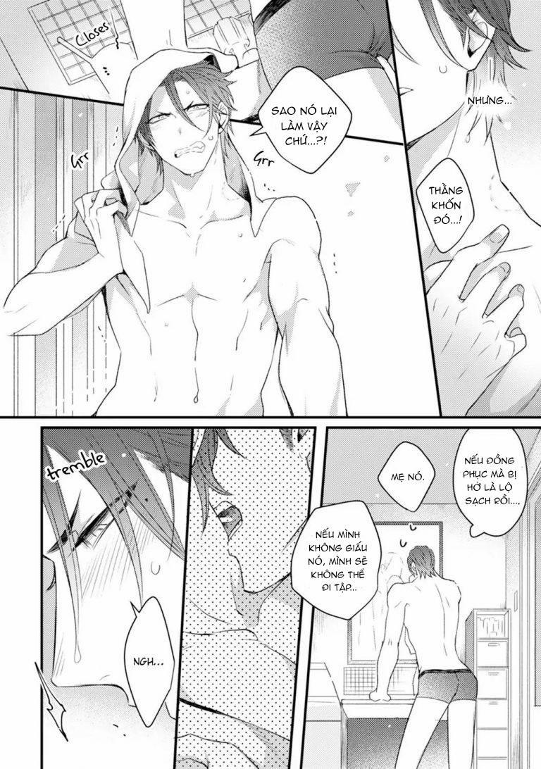 Tình yêu của em thuộc về tôi 2 trang 1