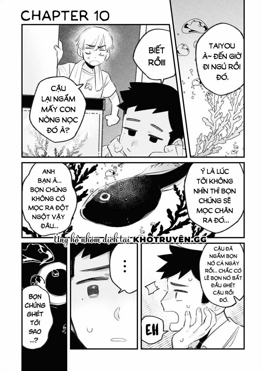 Tình Yêu Của Hai Kẻ Bám Đuôi 10 trang 1