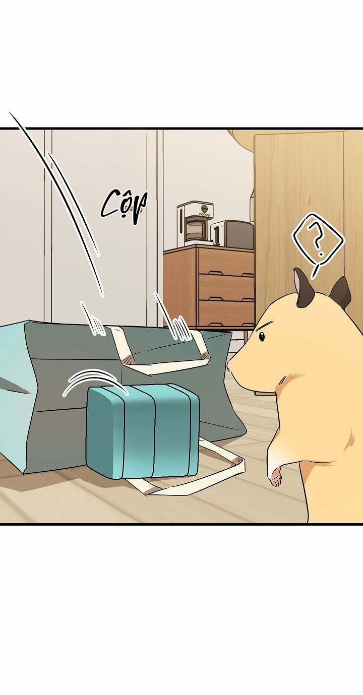 Tình Yêu Của Hyung Tae 10 trang 47