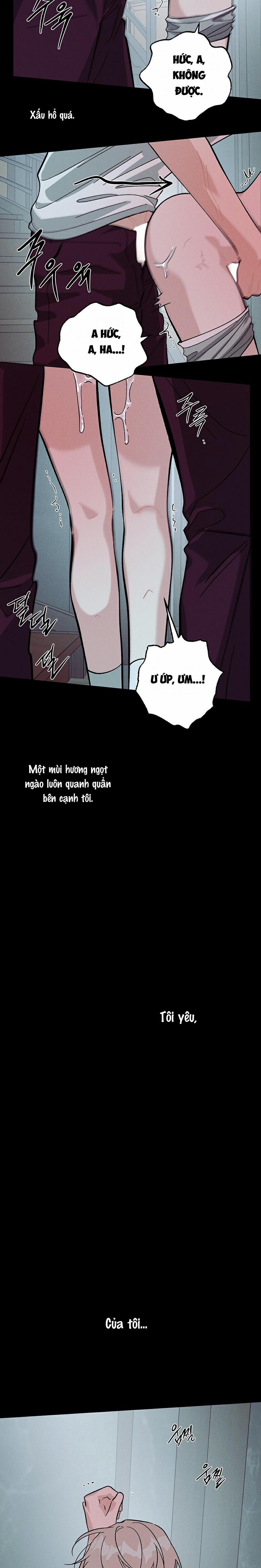 Tình Yêu Của Kẻ Vô Ơn 2 trang 15