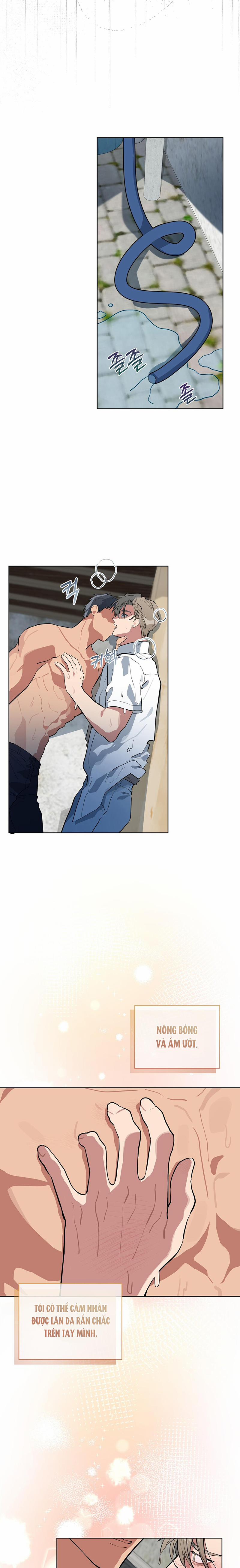 Tình Yêu Củi Lửa 14 trang 10