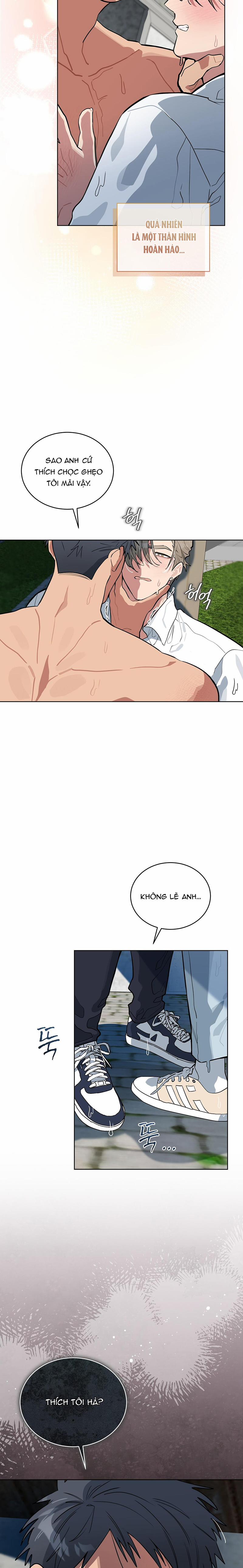 Tình Yêu Củi Lửa 14 trang 11