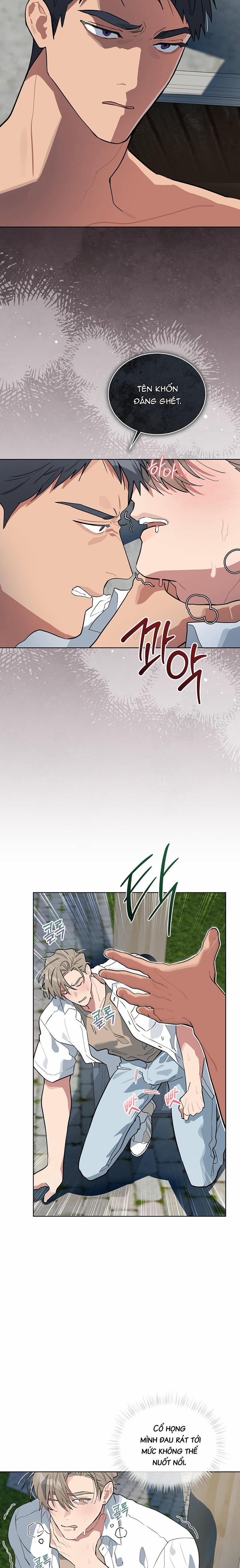 Tình Yêu Củi Lửa 14 trang 12