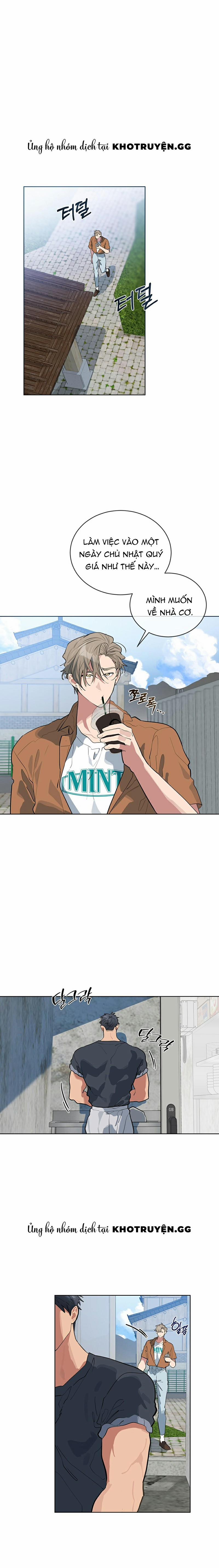 Tình Yêu Củi Lửa 16 trang 0