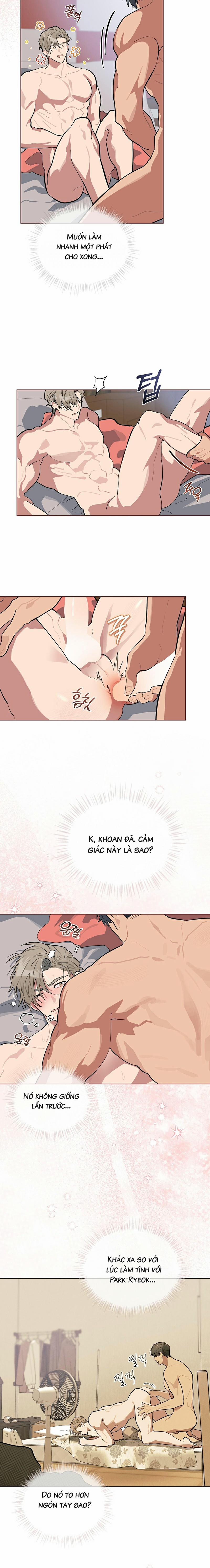 Tình Yêu Củi Lửa 19 trang 13