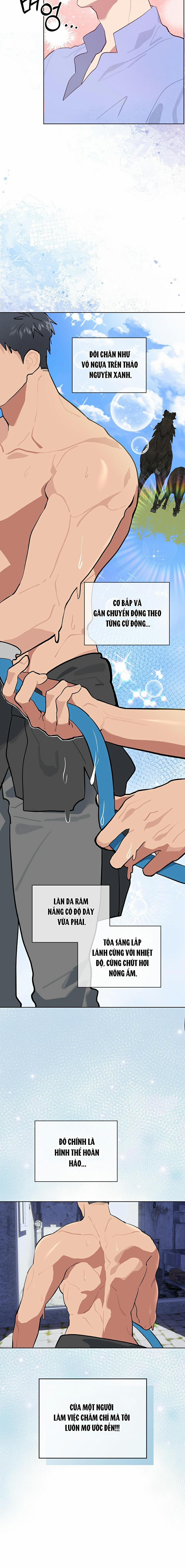 Tình Yêu Củi Lửa 5 trang 8