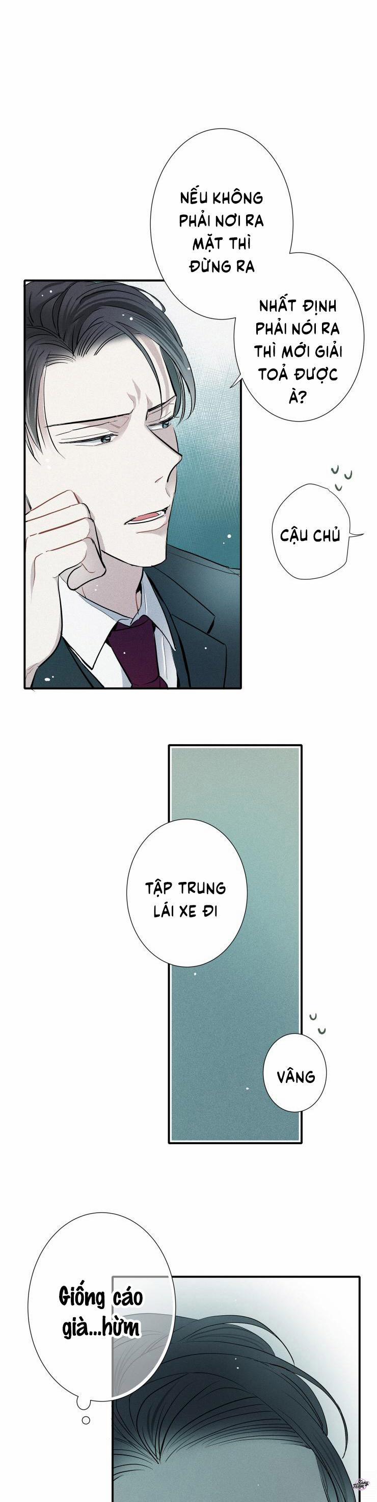 Tình Yêu Cùng Danh Tiếng 12 trang 13