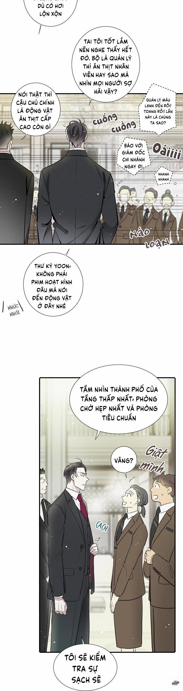 Tình Yêu Cùng Danh Tiếng 12 trang 3