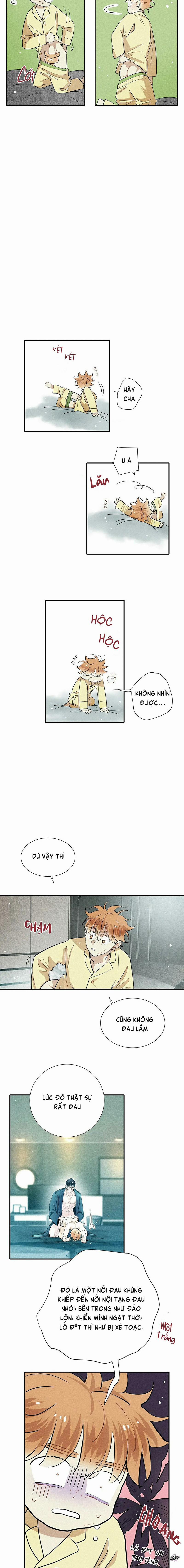 Tình Yêu Cùng Danh Tiếng 37 trang 11