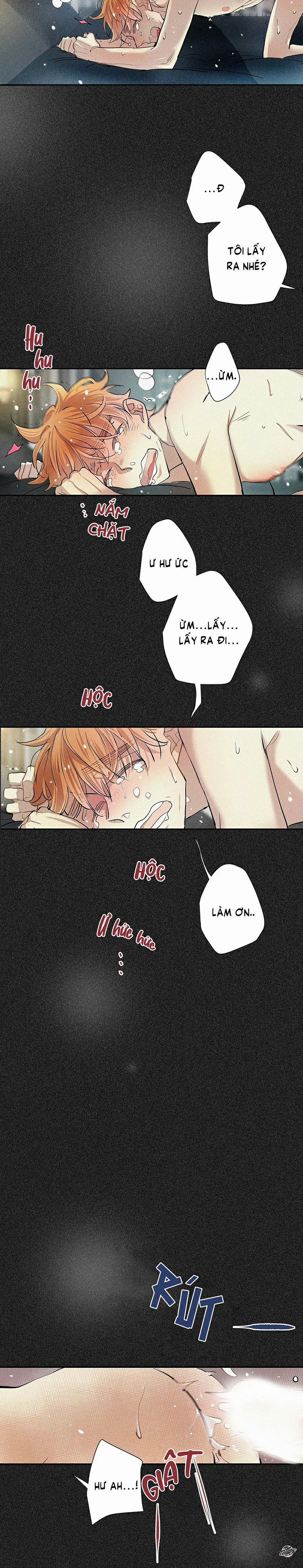 Tình Yêu Cùng Danh Tiếng 37 trang 13