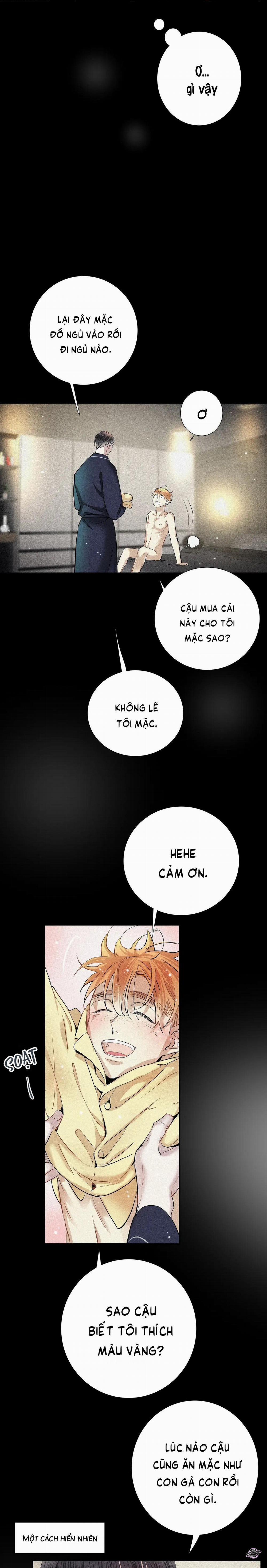 Tình Yêu Cùng Danh Tiếng 38 trang 1