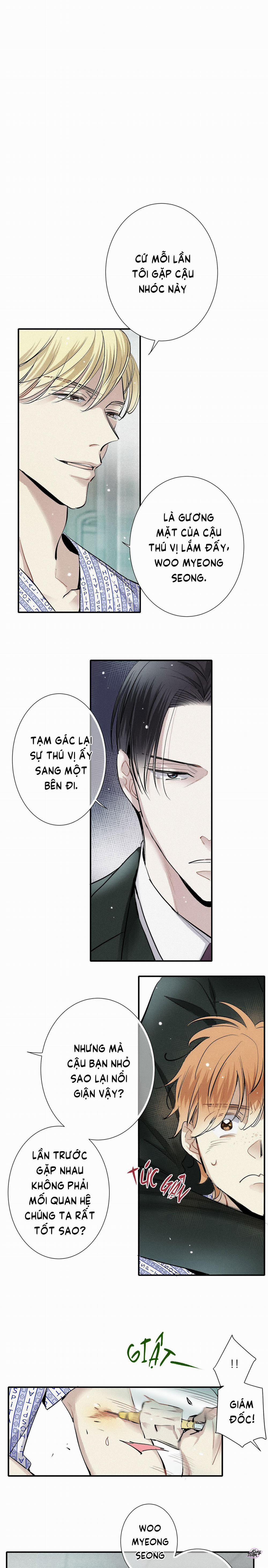 Tình Yêu Cùng Danh Tiếng 46 trang 0