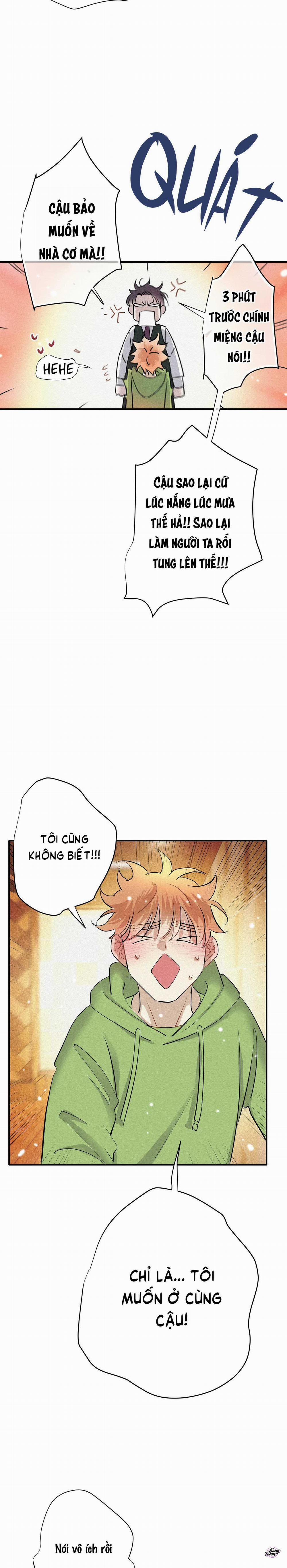 Tình Yêu Cùng Danh Tiếng 47 trang 13