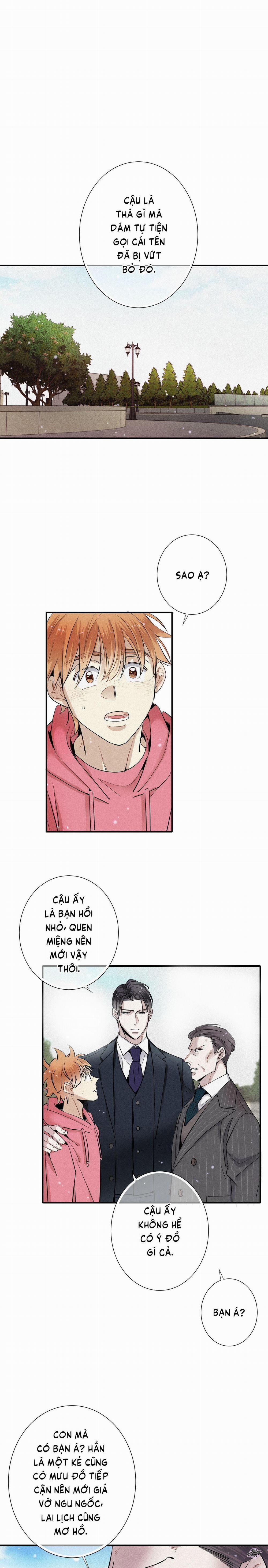 Tình Yêu Cùng Danh Tiếng 51 trang 0