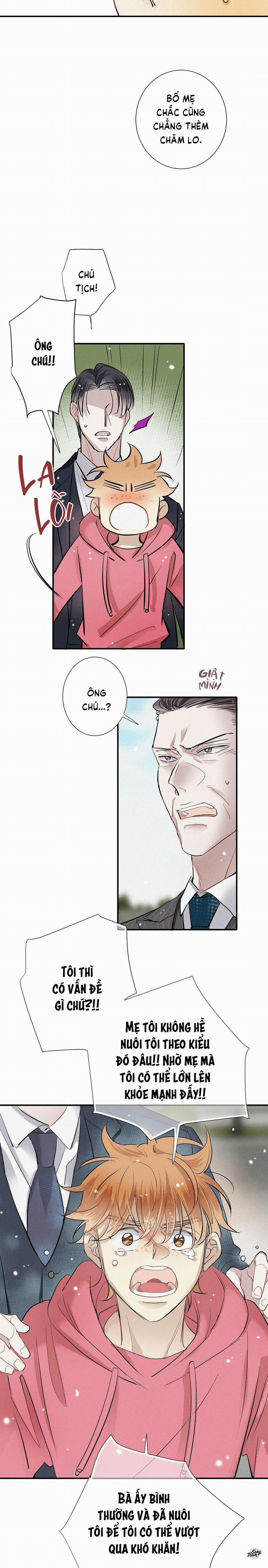 Tình Yêu Cùng Danh Tiếng 51 trang 2