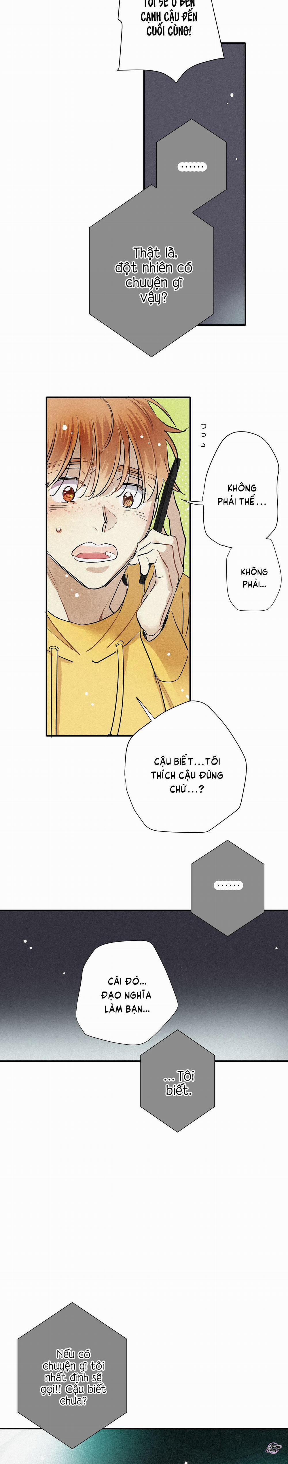 Tình Yêu Cùng Danh Tiếng 53 trang 15