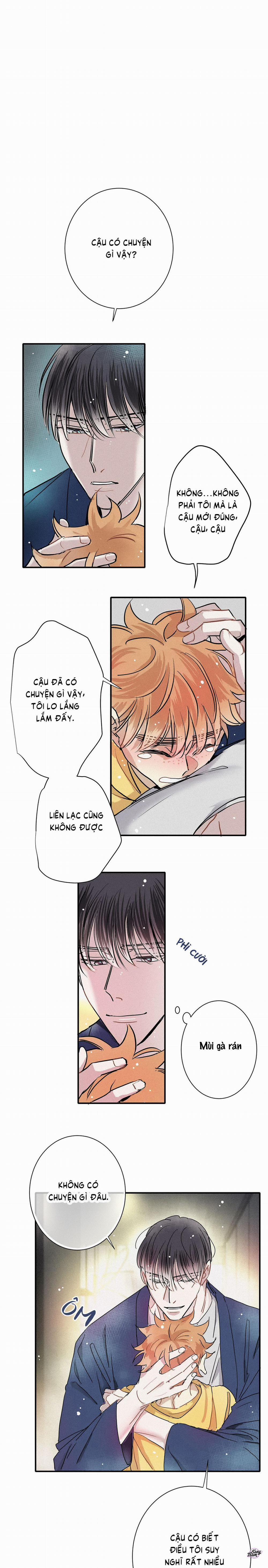 Tình Yêu Cùng Danh Tiếng 56 trang 3