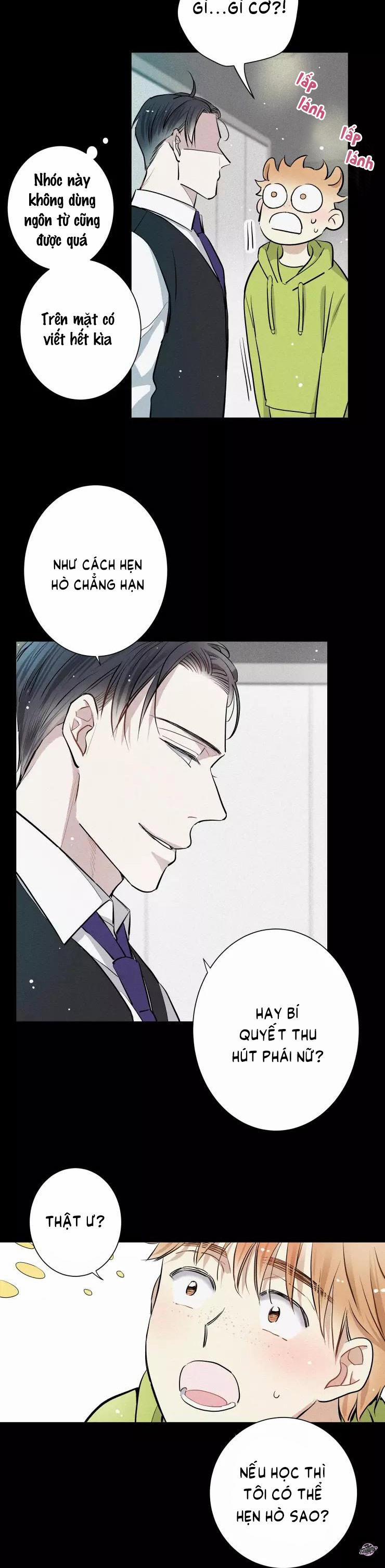 Tình Yêu Cùng Danh Tiếng 6 trang 13