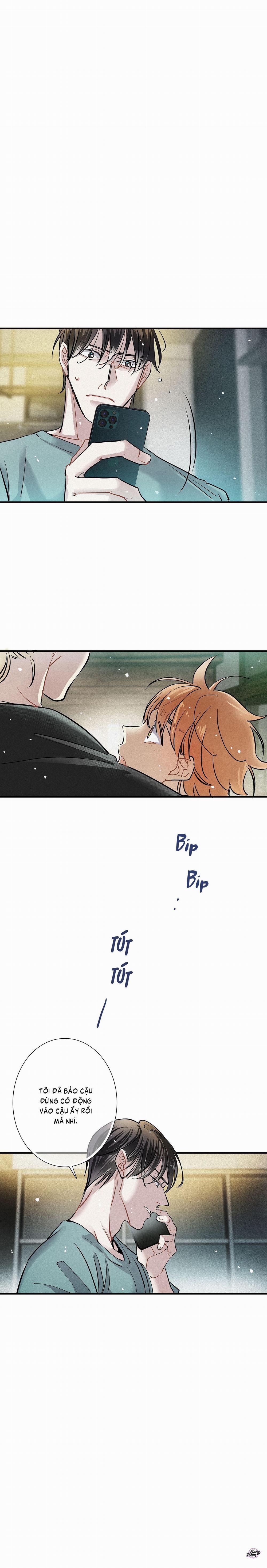 Tình Yêu Cùng Danh Tiếng 63 trang 0