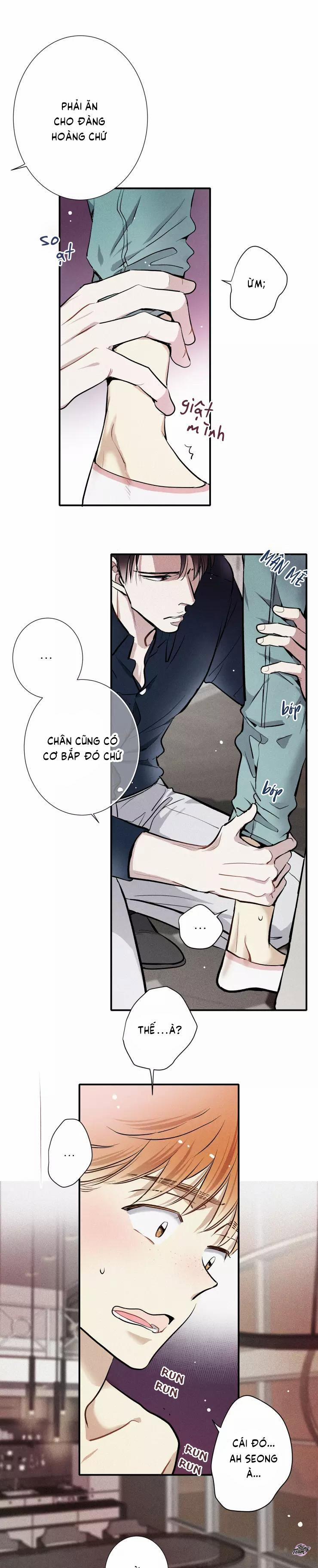 Tình Yêu Cùng Danh Tiếng 7 trang 13