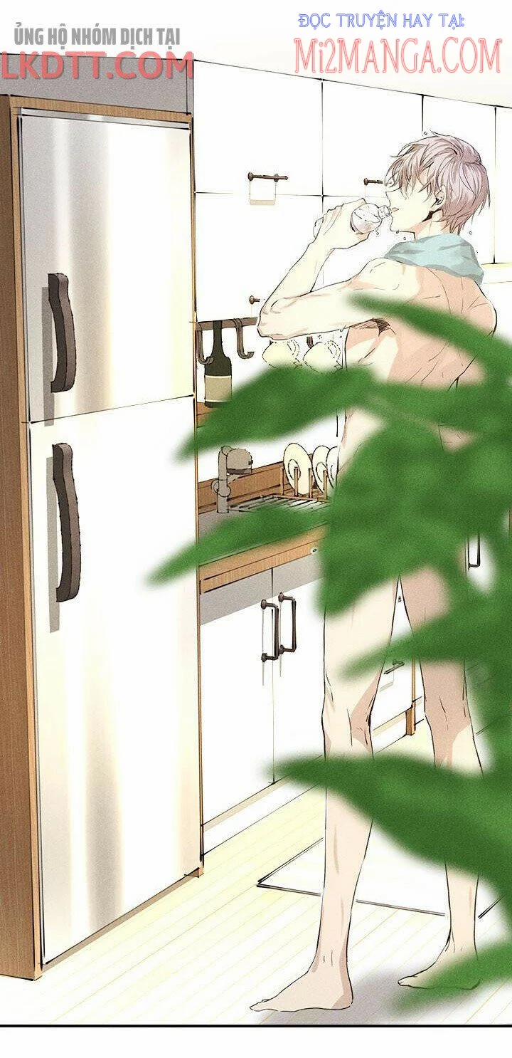 Tình Yêu Đầy Ngưỡng Mộ 1 trang 4