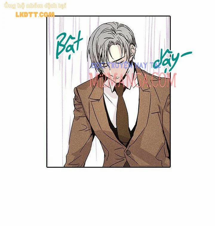 Tình Yêu Đầy Ngưỡng Mộ 2 trang 11