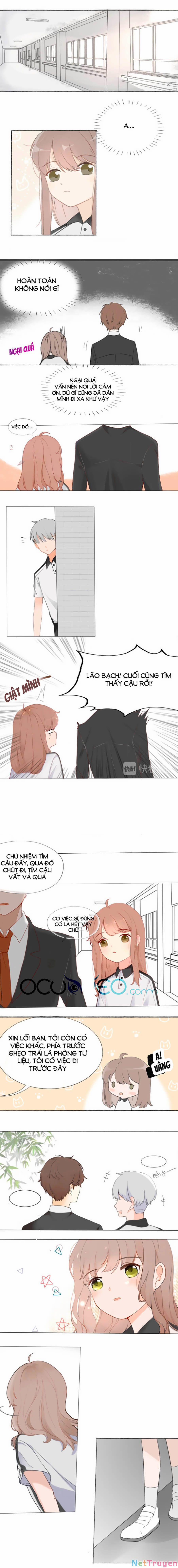 Tình Yêu Duy Nhất Của Tôi 1 trang 2