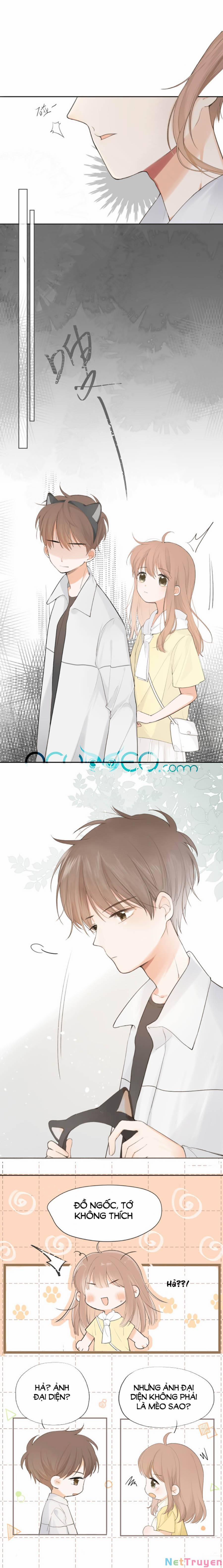 Tình Yêu Duy Nhất Của Tôi 12 trang 3