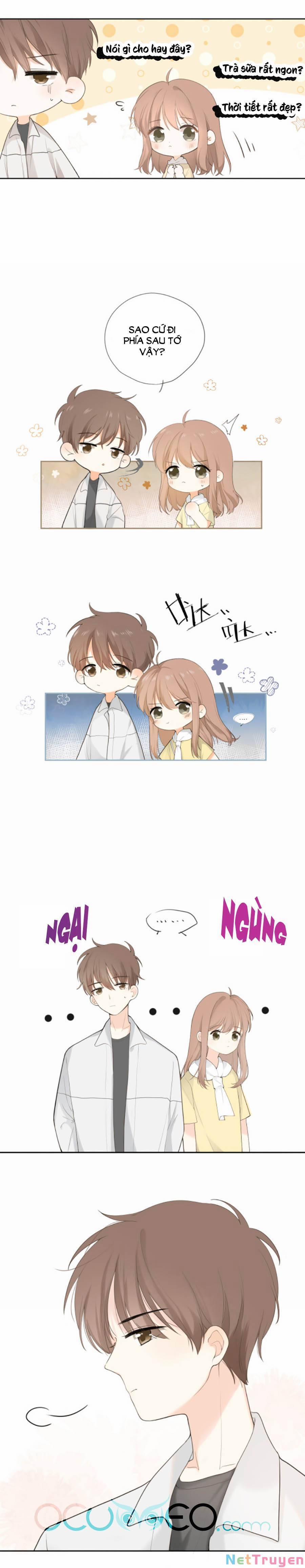 Tình Yêu Duy Nhất Của Tôi 13 trang 1