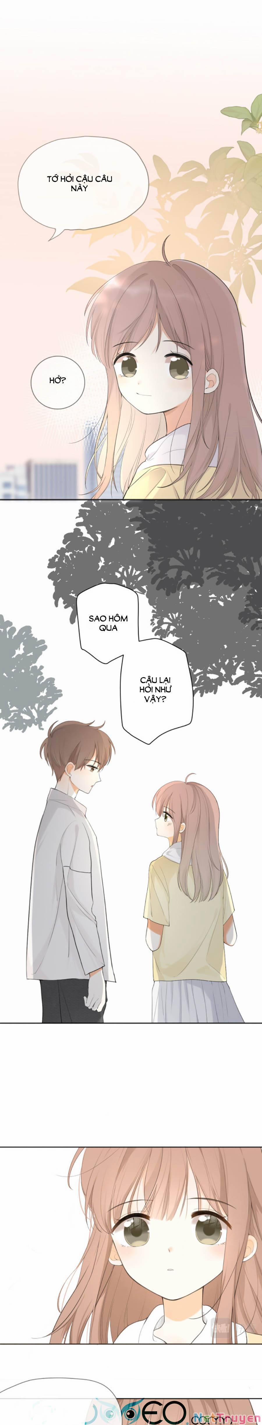 Tình Yêu Duy Nhất Của Tôi 13 trang 5