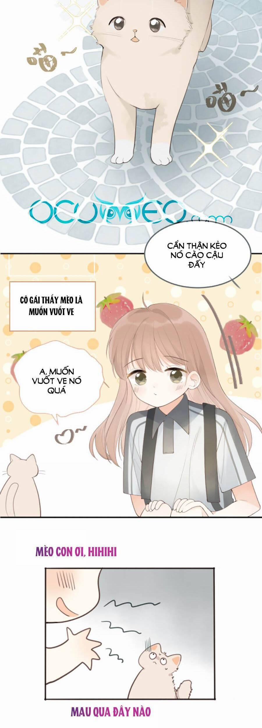 Tình Yêu Duy Nhất Của Tôi 16 trang 10